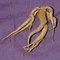 Mandrake Root - whole - Mandragora Autumnalis (26 gram approx) Mandrake Root - whole - Mandragora Autumnalis (26 gram approx)